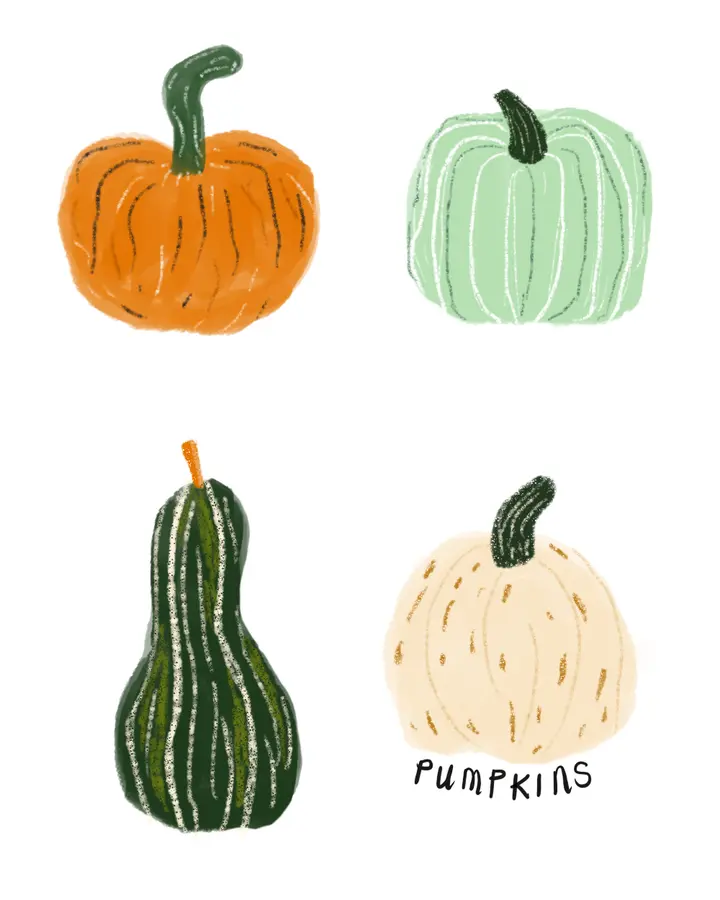 Four pumpkins and gourds in orange, green and cream