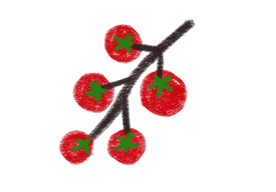A branch of red cherry tomatoes