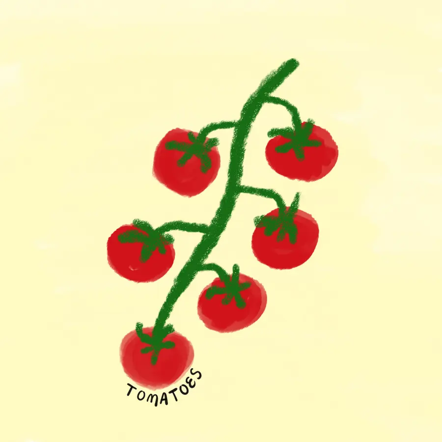 A vine of red cherry tomatoes on a soft yellow background